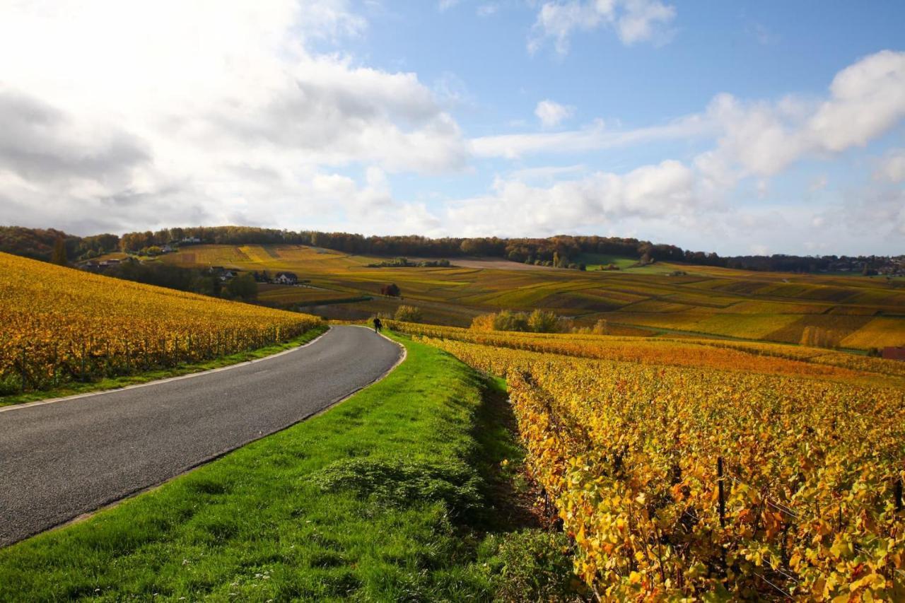 ホテル オステルリー ラ ブリケトリ ヴィネ エクステリア 写真 Vineyards in the Moselle valley